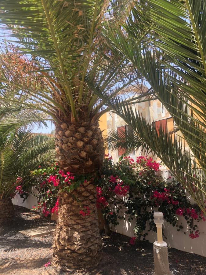 Apartamento Sunny Complex Amaya Fuerteventura คอสตา เด อันตีกัว ภายนอก รูปภาพ