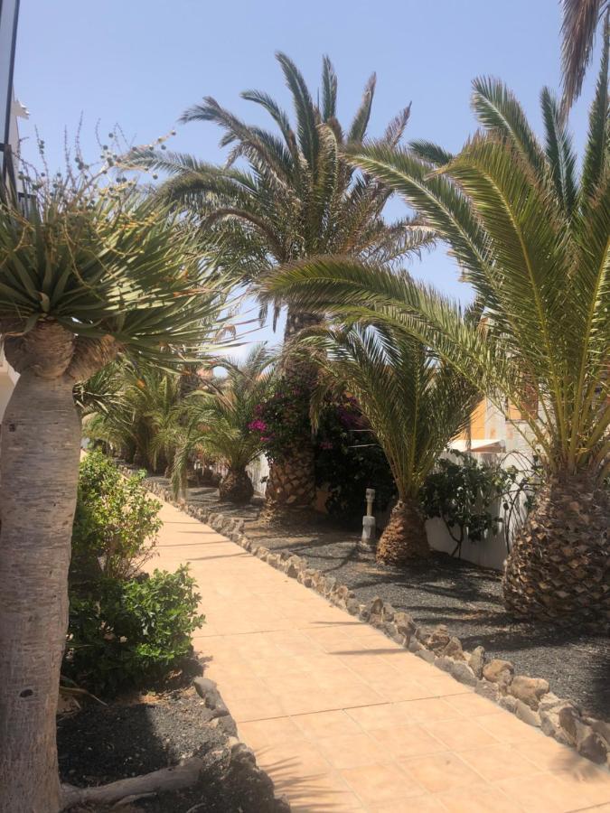 Apartamento Sunny Complex Amaya Fuerteventura คอสตา เด อันตีกัว ภายนอก รูปภาพ